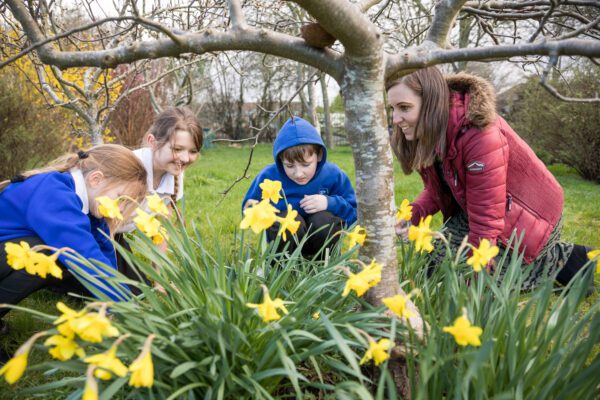 A group of people are outdoors surrounded by yellow daffodils.